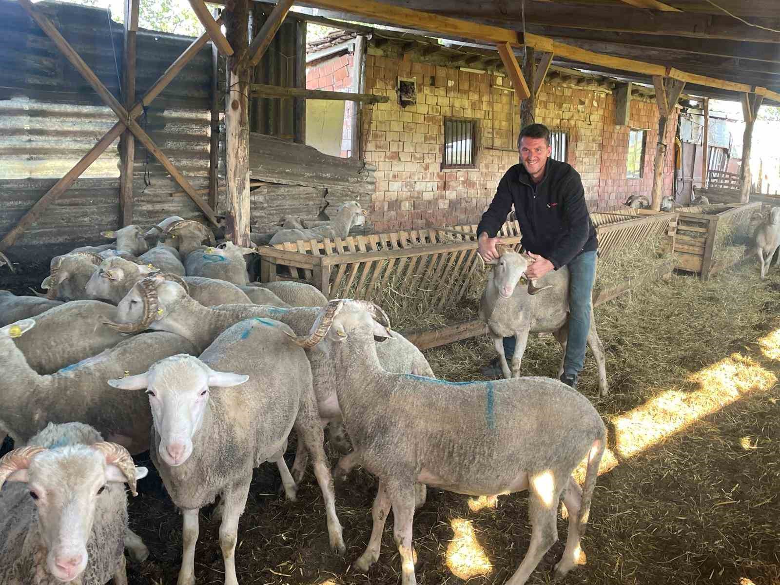 Kurbanlıkları satıp kazancıyla Temmuz ayında evlenecek
