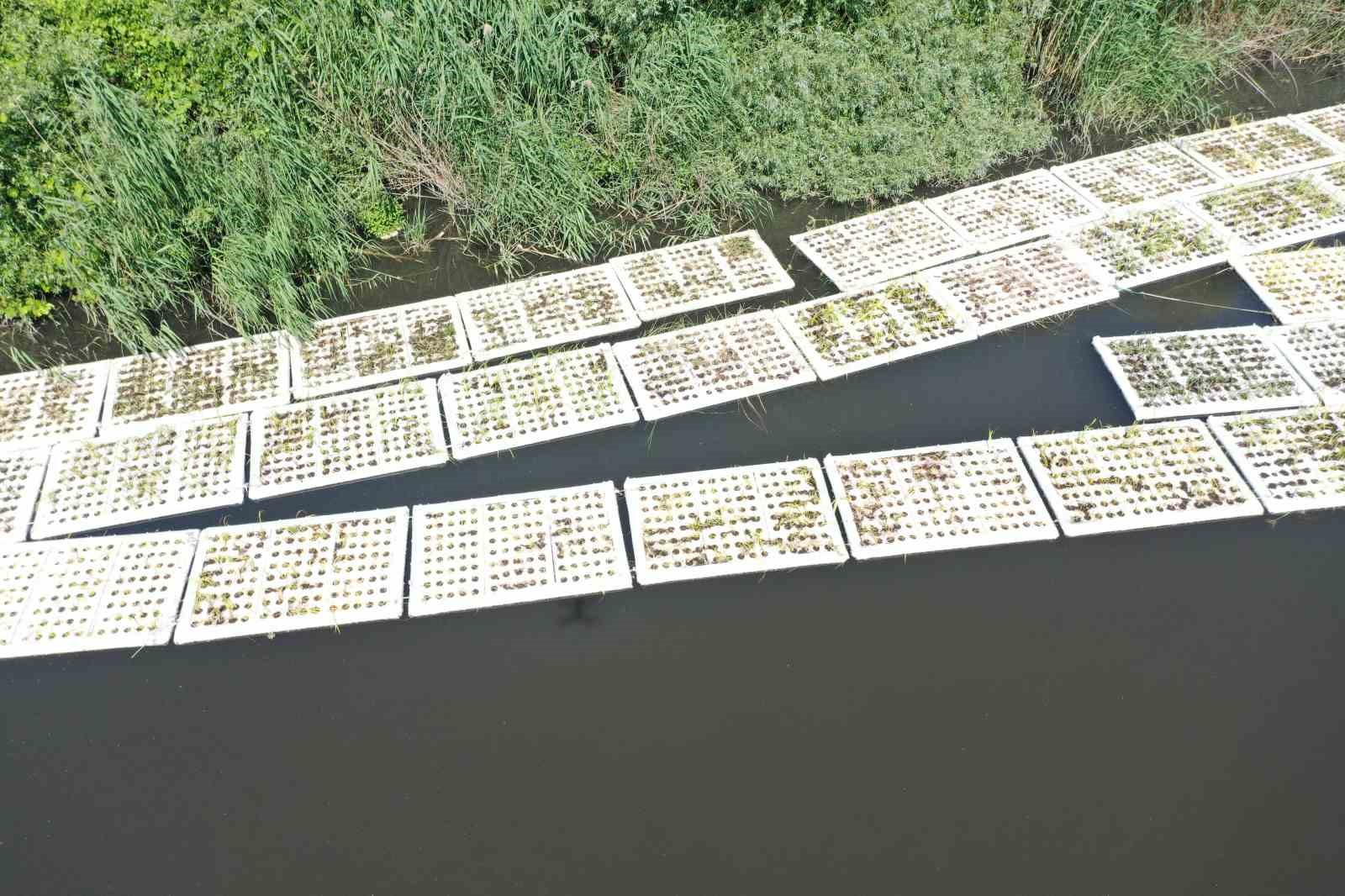 Marmara Denizi’ni besleyen derelerde "Yüzer Ada Projesi" hayata geçirildi
