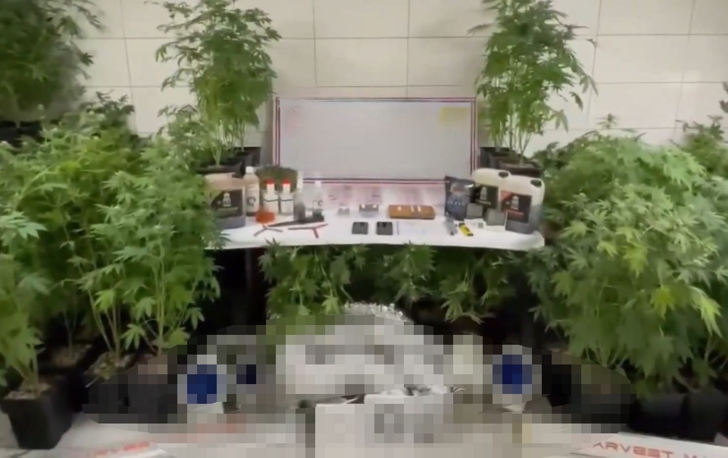 Jandarmadan uyuşturucu operasyonu: Evde üretim düzeneği kurmuş
