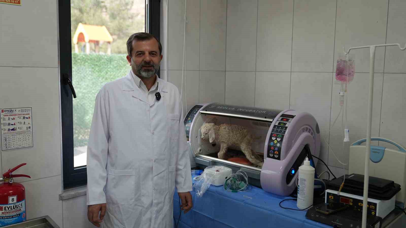 Gürsu Butik Hayvanat Bahçesi yeni sakinlerini ağırlıyor
