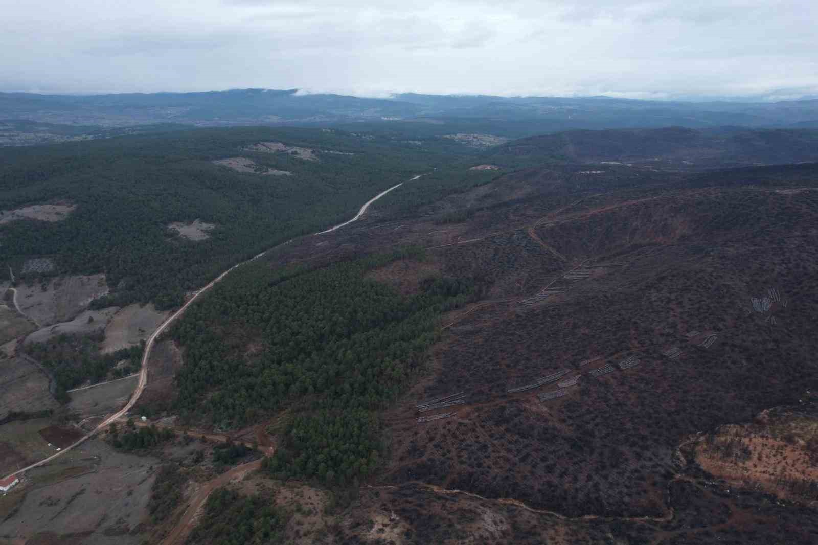 Bursa’da tarihin en büyük orman yangınında yaralar böyle sarıldı
